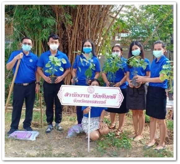 ﻿สำนักงานบังคับคดีจังหวัดนครสวรรค์ ร่วมกิจกรรมวันต้นไม้ประจำปีของชาติ พ.ศ. 2564